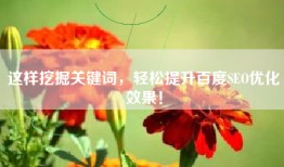这样挖掘关键词，轻松提升百度SEO优化效果！
