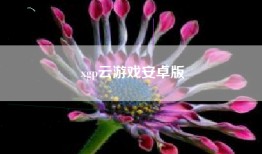 xgp云游戏安卓版