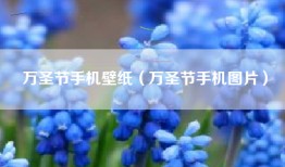 万圣节手机壁纸（万圣节手机图片）