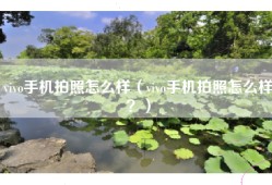 vivo手机拍照怎么样（vivo手机拍照怎么样？）