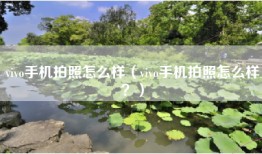 vivo手机拍照怎么样（vivo手机拍照怎么样？）