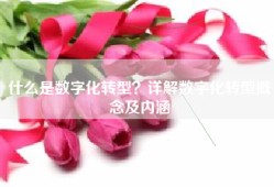什么是数字化转型？详解数字化转型概念及内涵