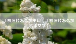 手机照片怎么加水印（手机照片怎么加水印文字）