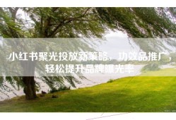 小红书聚光投放新策略，功效品推广，轻松提升品牌曝光率