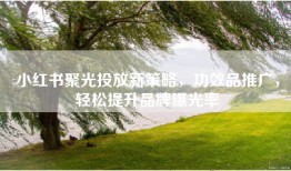 小红书聚光投放新策略，功效品推广，轻松提升品牌曝光率