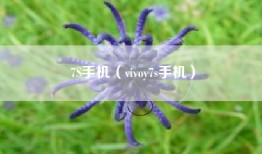 7S手机（vivoy7s手机）