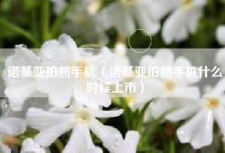 诺基亚拍照手机（诺基亚拍照手机什么时候上市）