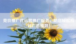 竞价推广代运营推广服务，助您轻松应对广告难题！