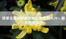 简单无脑的自媒体搬运项目,月入2W+,新手也可操作