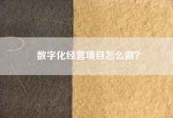 数字化经营项目怎么做？