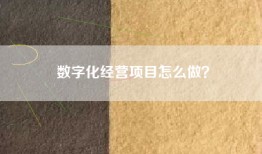 数字化经营项目怎么做？