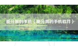 能分屏的手机（能分屏的手机软件）