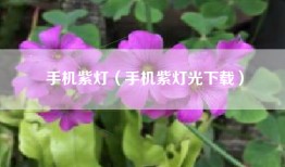 手机紫灯（手机紫灯光下载）