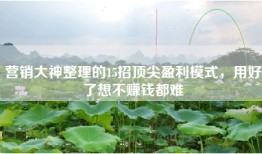 营销大神整理的15招顶尖盈利模式，用好了想不赚钱都难