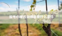 报考心理咨询师需要什么条件