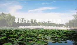 手机词语（手机词语来源）