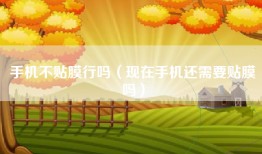 手机不贴膜行吗（现在手机还需要贴膜吗）