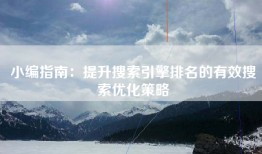 小编指南：提升搜索引擎排名的有效搜索优化策略