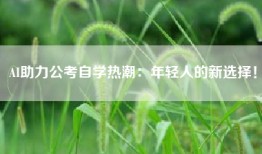 AI助力公考自学热潮：年轻人的新选择！