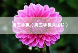 男生手机（男生手机壳图片）