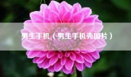 男生手机（男生手机壳图片）