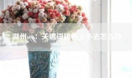 湖州seo：关键词排名上不去怎么办