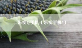 乐视4g手机（乐视手机5）