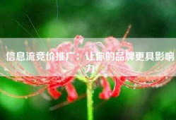 信息流竞价推广：让你的品牌更具影响力