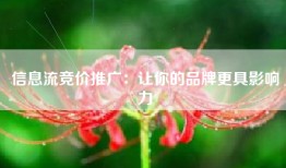 信息流竞价推广：让你的品牌更具影响力