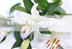 手机wifi锁（手机wifi锁定怎么取消）