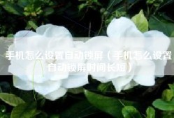 手机怎么设置自动锁屏（手机怎么设置自动锁屏时间长短）