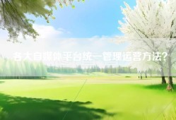 各大自媒体平台统一管理运营方法？