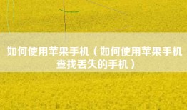 如何使用苹果手机（如何使用苹果手机查找丢失的手机）