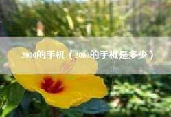 2000的手机（2000的手机是多少）