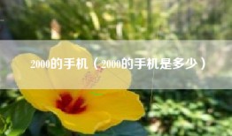2000的手机（2000的手机是多少）