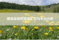 媒体投放的渠道汇总与平台分析