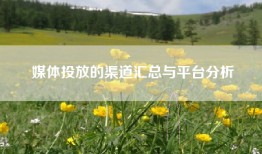 媒体投放的渠道汇总与平台分析