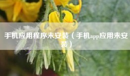 手机应用程序未安装（手机app应用未安装）