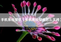手机系统壁纸（手机系统壁纸怎么关闭）