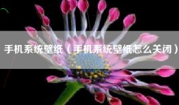 手机系统壁纸（手机系统壁纸怎么关闭）