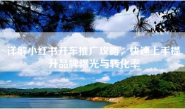 详解小红书开车推广攻略，快速上手提升品牌曝光与转化率