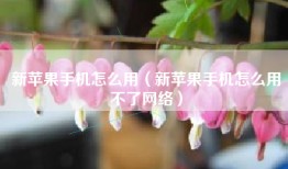 新苹果手机怎么用（新苹果手机怎么用不了网络）