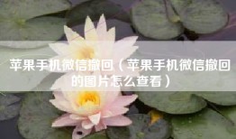 苹果手机微信撤回（苹果手机微信撤回的图片怎么查看）