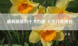 最有前景的十大行业 十大行业排名