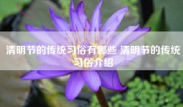 清明节的传统习俗有哪些 清明节的传统习俗介绍