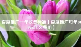 百度推广一年收费标准【百度推广每年600元什么费用】