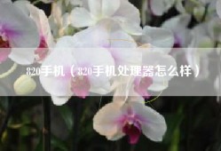 820手机（820手机处理器怎么样）