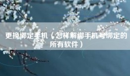 更换绑定手机（怎样解绑手机号绑定的所有软件）