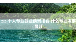 2024十大专业就业前景排名 什么专业发展最好