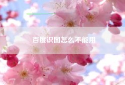 百度识图怎么不能用